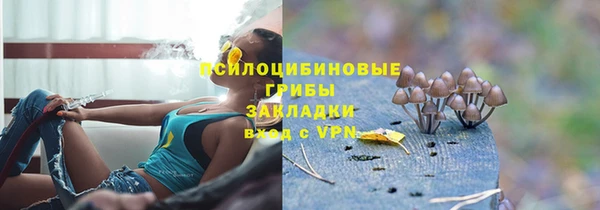 винт Алексеевка