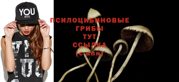 дживик Алзамай