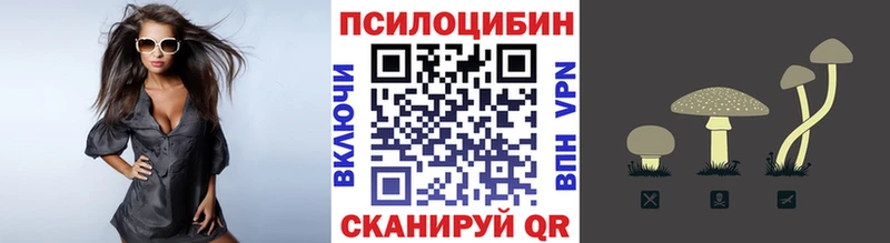 Псилоцибиновые грибы Psilocybine cubensis Сольвычегодск